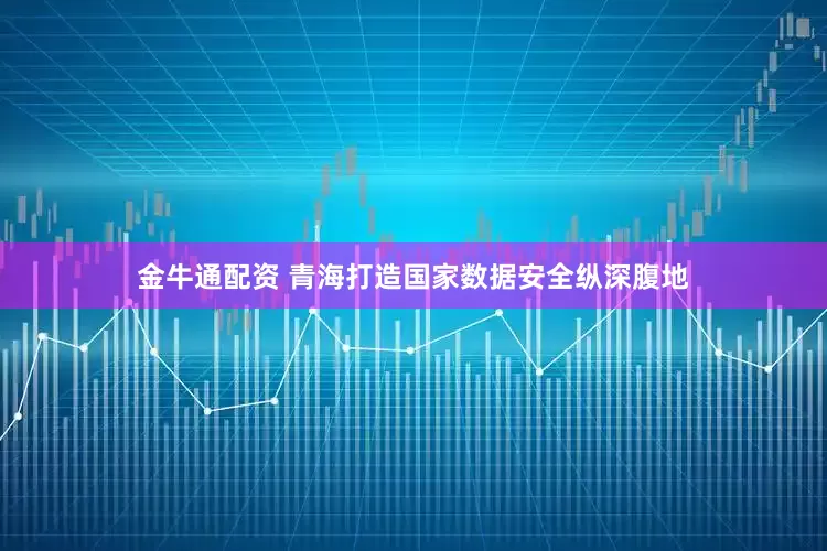 金牛通配资 青海打造国家数据安全纵深腹地