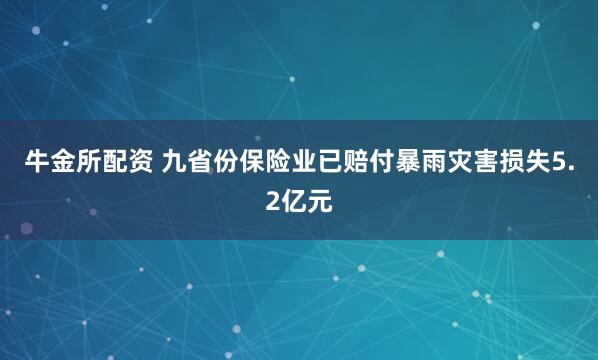 牛金所配资 九省份保险业已赔付暴雨灾害损失5.2亿元