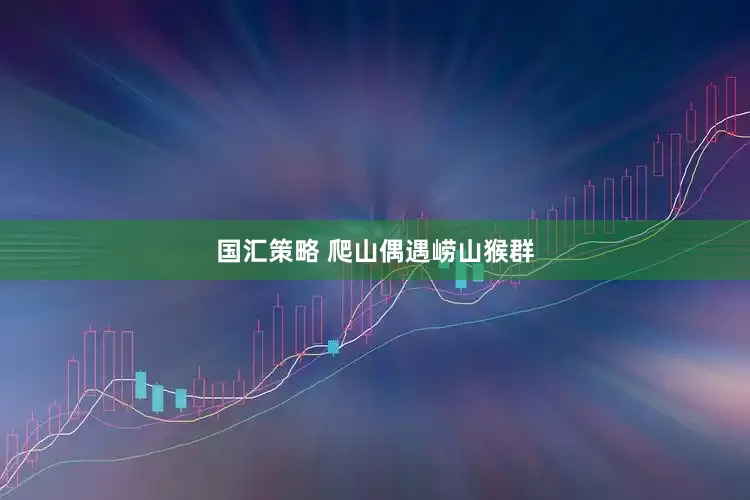 国汇策略 爬山偶遇崂山猴群